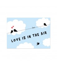 Kaart "vogeltjes love is in the air"
